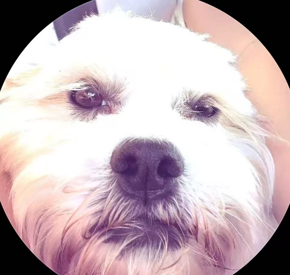 Customer avatar